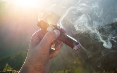 Smoking with ankylosing spondylitis? The worst idea ever!