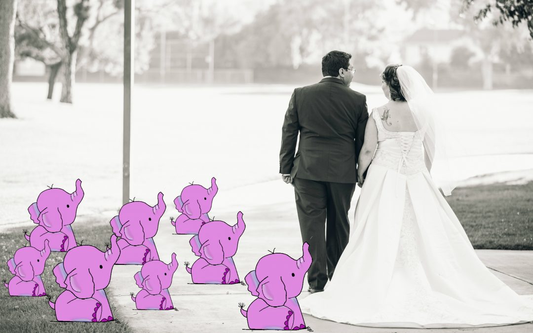 Pink Elephants and World of Warcraft