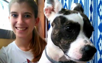 A parrot, three dogs and ankylosing spondylitis