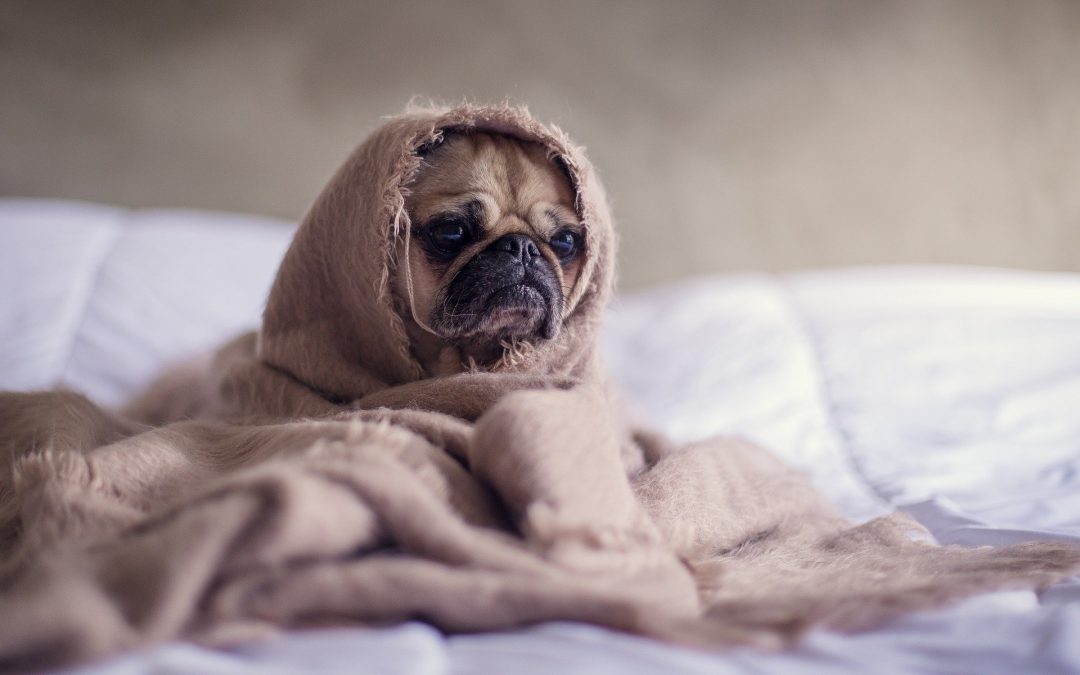 Night pain due to axial SpA (AS)