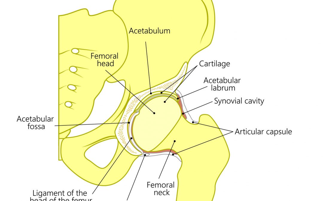 Hips and Axial SpA